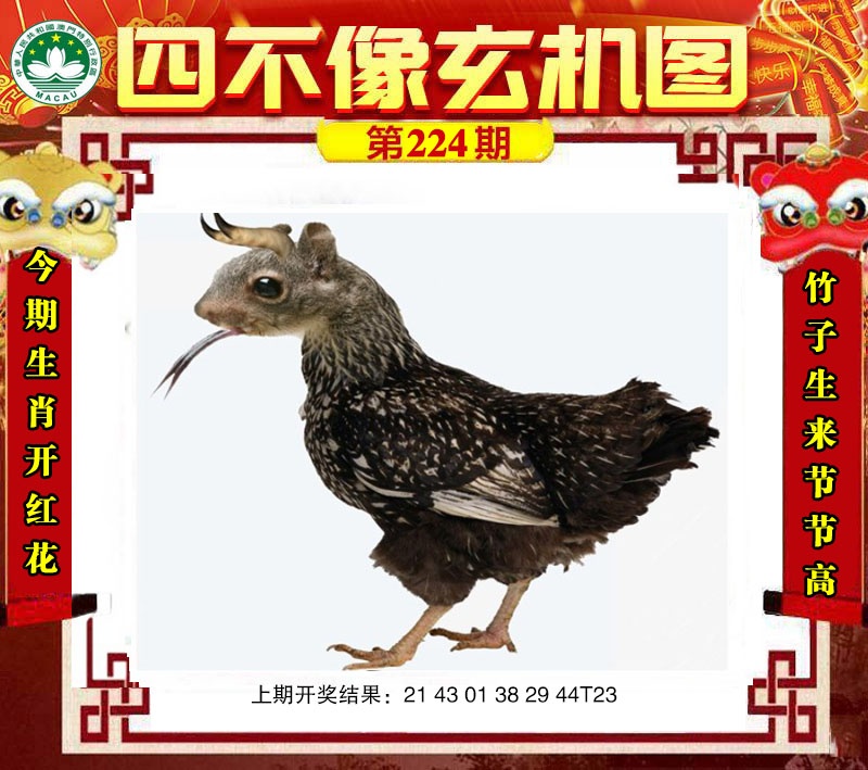点击图片放大